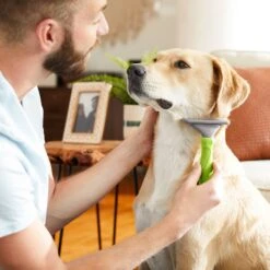 Frisco 71-in Faux Fur Cat Tree & Condo & Frisco Deshedding Dog & Cat Brush 16 Frisco 71-in Faux Fur Cat Tree & Condo & Frisco Deshedding Dog & Cat Brush -Frisco Sales Store 660294 PT7. AC SS1800 V1666839309