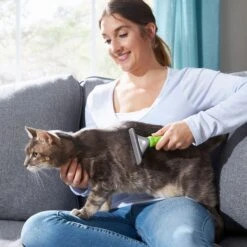 Frisco 71-in Faux Fur Cat Tree & Condo & Frisco Deshedding Dog & Cat Brush 17 Frisco 71-in Faux Fur Cat Tree & Condo & Frisco Deshedding Dog & Cat Brush -Frisco Sales Store 660294 PT8. AC SS1800 V1666838810