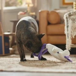 Frisco Halloween Bunny Ghost Plush Squeaky Dog Toy 8 Frisco Halloween Bunny Ghost Plush Squeaky Dog Toy -Frisco Sales Store 667878 PT3. AC SS1800 V1689340856