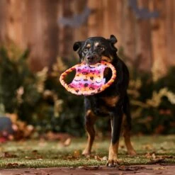 Frisco Halloween Ghost Swirl Fetch Flyer Dog Toy 6 Frisco Halloween Ghost Swirl Fetch Flyer Dog Toy -Frisco Sales Store 668294 PT3. AC SS1800 V1689278363