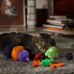 Frisco Halloween Mystical Variety Pack Plush & Balls Cat Toy With Catnip -Frisco Sales Store 668374 PT3. AC SS1800 V1689282492