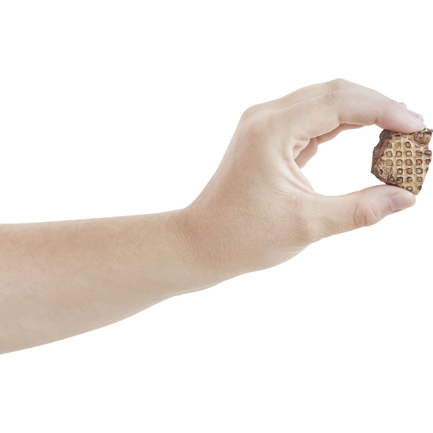 Frisco Extra Large Eco-Conscious Dog Training & Potty Pads & Bones & Chews All-Natural Lamb Lung Dehydrated Dog Treats 9 Frisco Extra Large Eco-Conscious Dog Training & Potty Pads & Bones & Chews All-Natural Lamb Lung Dehydrated Dog Treats - Image 9