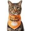 Frisco Hey There Pumpkin Dog & Cat Bandana