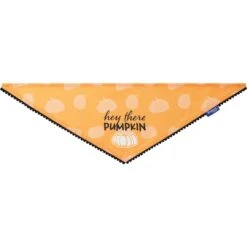Frisco Hey There Pumpkin Dog & Cat Bandana -Frisco Sales Store 706374 PT3. AC SS1800 V1689282446
