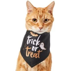 Frisco Trick Or Treat Dog & Cat Bandana