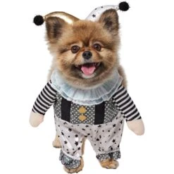 Frisco Front Walking Glitter Clown Dog & Cat Costume -Frisco Sales Store 707542 PT2. AC SS1800 V1689351699
