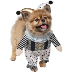 Frisco Front Walking Glitter Clown Dog & Cat Costume -Frisco Sales Store 707542 PT3. AC SS1800 V1689278296