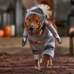 Frisco Front Walking LED Astronaut Dog & Cat Costume 14 Frisco Front Walking LED Astronaut Dog & Cat Costume -Frisco Sales Store 707630 PT7. AC SS1800 V1689278700