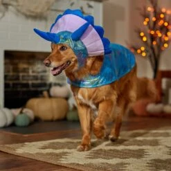 Frisco Dinosaur Dog & Cat Costume -Frisco Sales Store 707894 PT7. AC SS1800 V1689350593