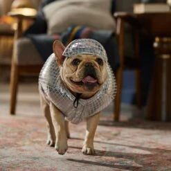 Frisco Disco Ball Dog & Cat Costume -Frisco Sales Store 707934 PT7. AC SS1800 V1689271312