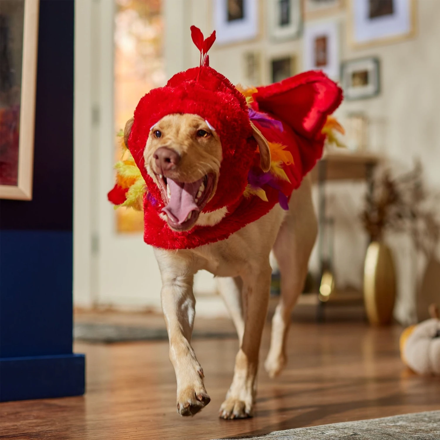 Frisco Flying Phoenix Dog & Cat Costume 7 Frisco Flying Phoenix Dog & Cat Costume - Image 7