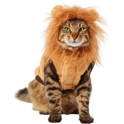 Frisco Lion Love Dog & Cat Costume 11 Frisco Lion Love Dog & Cat Costume -Frisco Sales Store 708318 PT2. AC SS1800 V1689341486