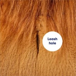 Frisco Lion Love Dog & Cat Costume 15 Frisco Lion Love Dog & Cat Costume -Frisco Sales Store 708318 PT6. AC SS1800 V1689351045