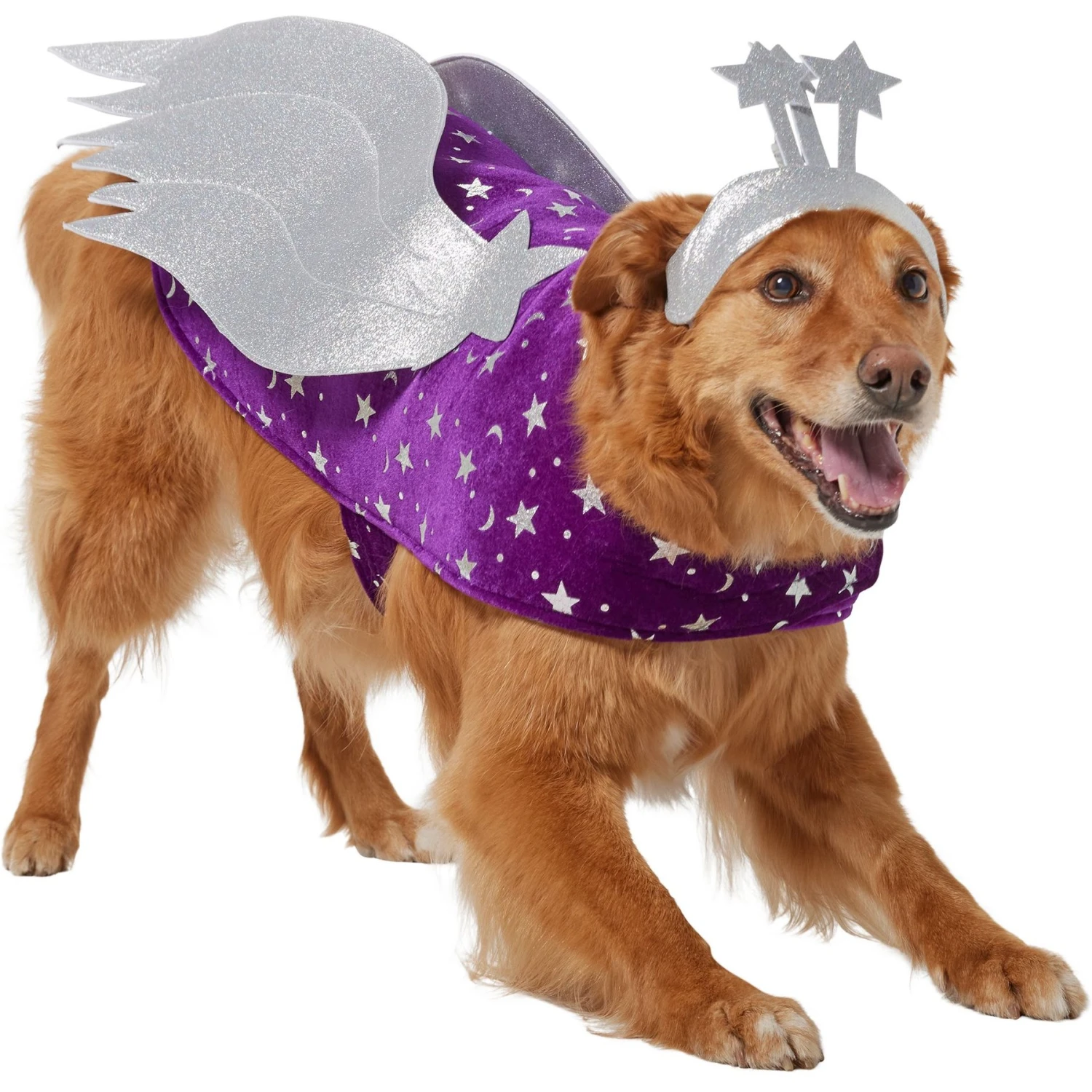 Frisco Shooting Stars Dog & Cat Costume 1 Frisco Shooting Stars Dog & Cat Costume