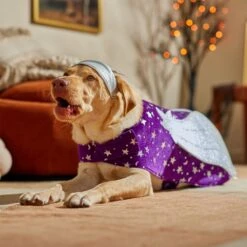 Frisco Shooting Stars Dog & Cat Costume 14 Frisco Shooting Stars Dog & Cat Costume -Frisco Sales Store 708614 PT7. AC SS1800 V1689278699