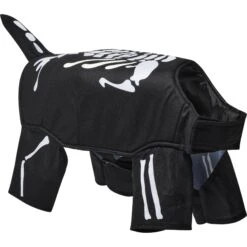 Frisco Glow In The Dark Skeleton Dog & Cat Costume 11 Frisco Glow In The Dark Skeleton Dog & Cat Costume -Frisco Sales Store 709038 PT3. AC SS1800 V1689351051