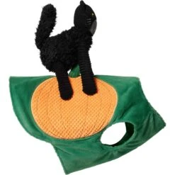 Frisco Pumpkin Cat Ride-On Dog & Cat Costume -Frisco Sales Store 709294 PT4. AC SS1800 V1689270836