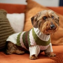 Frisco Bubble Knit Multi Striped Mock Neck Dog & Cat Sweater -Frisco Sales Store 718854 PT7. AC SS1800 V1692378688