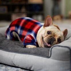 Frisco Cozy Plush Fleece Dog & Cat PJs, Plaid -Frisco Sales Store 719102 PT7. AC SS1800 V1692378973