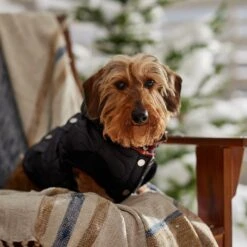 Frisco Heavy Weight Matte Quilted Volume Dog & Cat Puffer -Frisco Sales Store 719750 PT7. AC SS1800 V1692377763