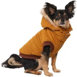 Frisco Heavy Weight Lux Corduroy Insulated Dog & Cat Coat With Fur Trimmed Hood -Frisco Sales Store 719966 PT2. AC SS1800 V1703184628