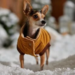 Frisco Heavy Weight Lux Corduroy Insulated Dog & Cat Coat With Fur Trimmed Hood -Frisco Sales Store 719966 PT7. AC SS1800 V1692377819