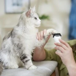 Rechargeable Cordless Cat & Dog Hair Clipper, White 10 Rechargeable Cordless Cat & Dog Hair Clipper, White -Frisco Sales Store 729710 PT4. AC SS1800 V1683147134