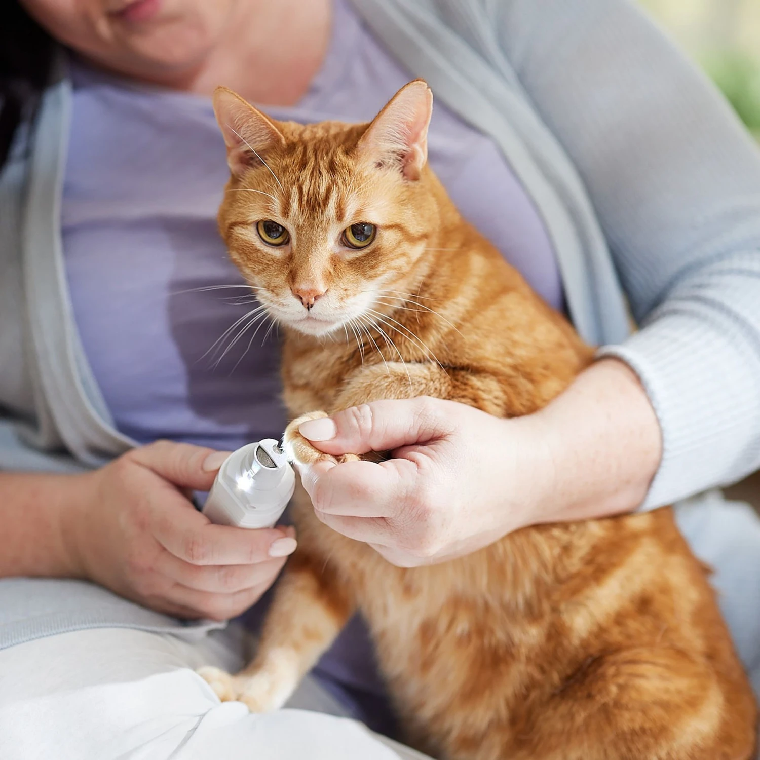 Rechargeable Cordless Cat & Dog 3-Speed Nail Grinder, White 6 Rechargeable Cordless Cat & Dog 3-Speed Nail Grinder, White - Image 6