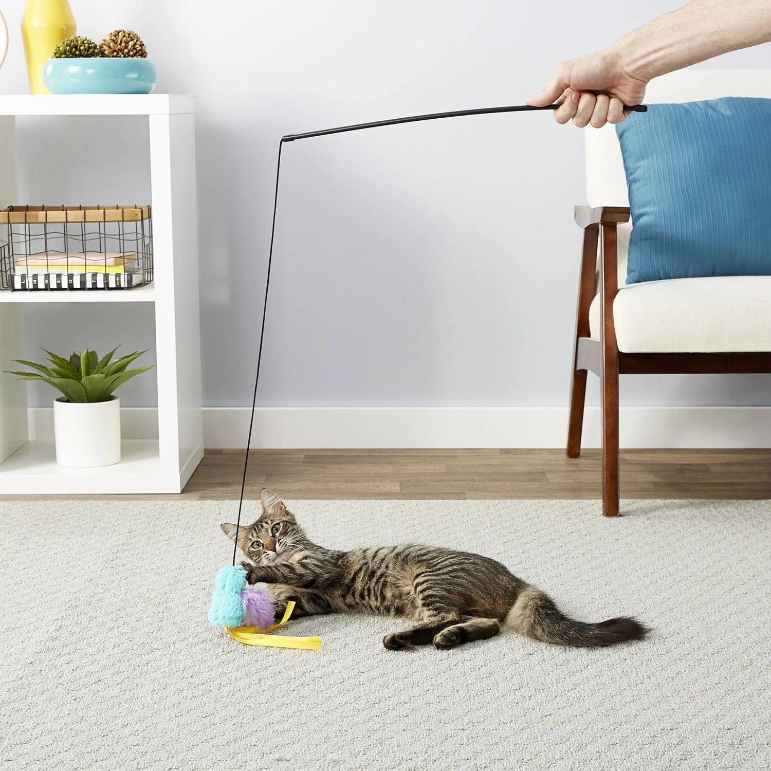 Hartz Delectables Squeeze Up Variety Pack Lickable Cat Treats & Frisco Bird With Feathers Teaser Wand Cat Toy With Catnip 8 Hartz Delectables Squeeze Up Variety Pack Lickable Cat Treats & Frisco Bird With Feathers Teaser Wand Cat Toy With Catnip - Image 8