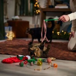 Frisco Holiday Cozy Christmas Sack Variety Pack Cat Toy With Catnip 8 Frisco Holiday Cozy Christmas Sack Variety Pack Cat Toy With Catnip -Frisco Sales Store 740054 PT3. AC SS1800 V1694812461