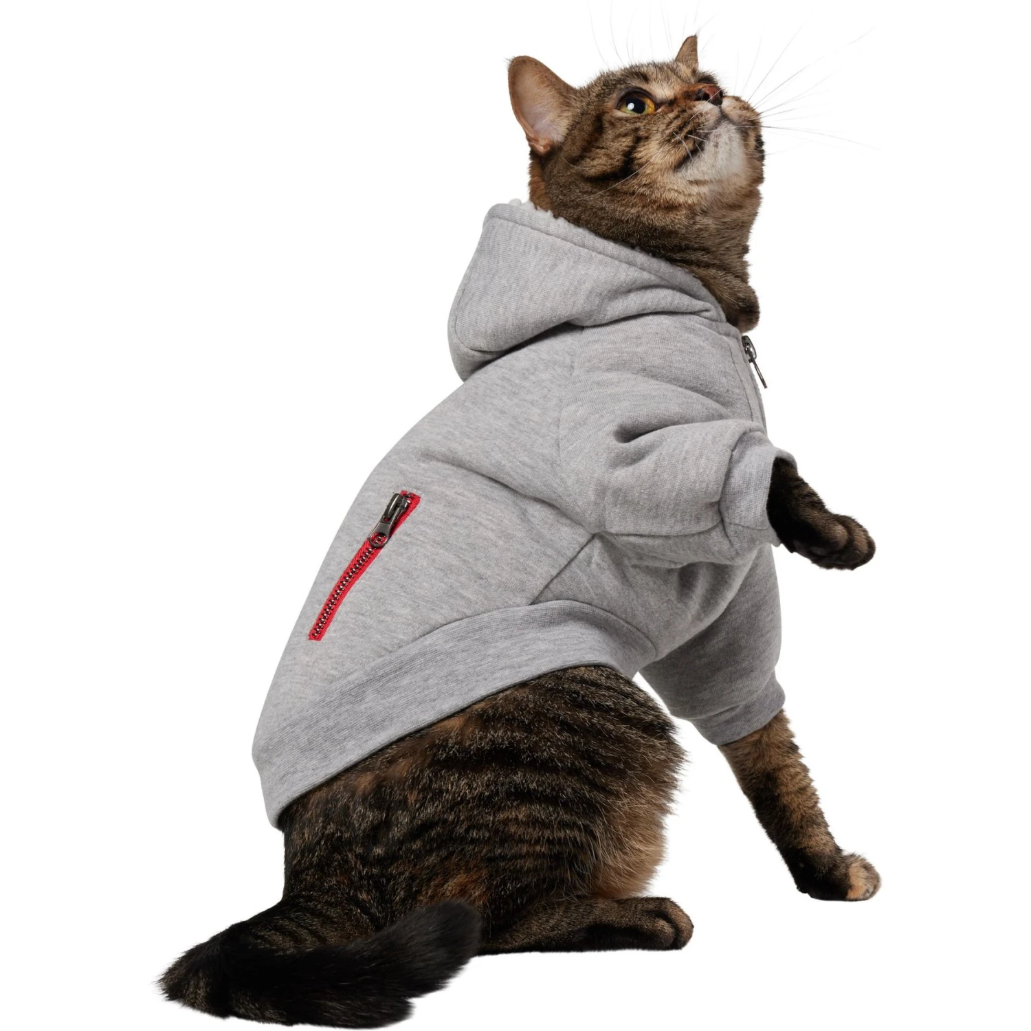 Frisco Sweatshirt Fleece Dog & Cat Hoodie With Sherpa Lining 1 Frisco Sweatshirt Fleece Dog & Cat Hoodie With Sherpa Lining