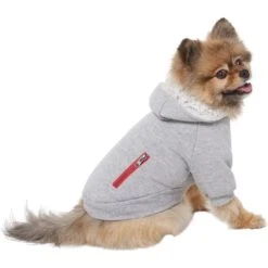 Frisco Sweatshirt Fleece Dog & Cat Hoodie With Sherpa Lining 11 Frisco Sweatshirt Fleece Dog & Cat Hoodie With Sherpa Lining -Frisco Sales Store 742550 PT2. AC SS1800 V1703194378