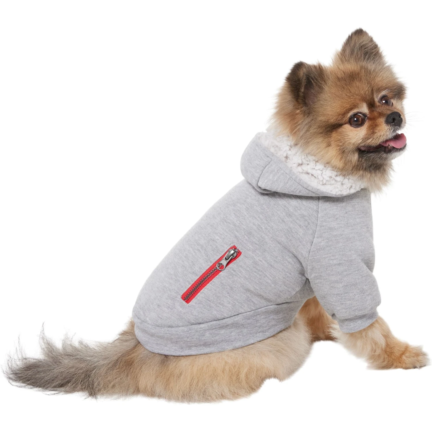 Frisco Sweatshirt Fleece Dog & Cat Hoodie With Sherpa Lining 3 Frisco Sweatshirt Fleece Dog & Cat Hoodie With Sherpa Lining - Image 3