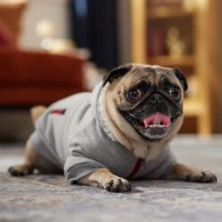 Frisco Sweatshirt Fleece Dog & Cat Hoodie With Sherpa Lining 16 Frisco Sweatshirt Fleece Dog & Cat Hoodie With Sherpa Lining -Frisco Sales Store 742550 PT7. AC SS1800 V1692378690