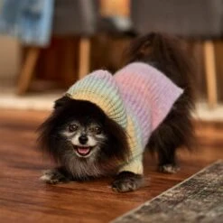 Frisco Soft Multi Stripe Ombre Dog & Cat Hooded Sweater -Frisco Sales Store 742838 PT7. AC SS1800 V1692376365