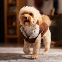 Frisco Medium Weight Quilted Dog & Cat Coat With Cozy Sherpa Lining 16 Frisco Medium Weight Quilted Dog & Cat Coat With Cozy Sherpa Lining -Frisco Sales Store 744310 PT7. AC SS1800 V1692375981