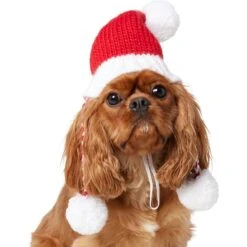 Frisco Chunky Knit Santa Dog & Cat Hat 9 Frisco Chunky Knit Santa Dog & Cat Hat -Frisco Sales Store 744878 PT2. AC SS1800 V1694812755