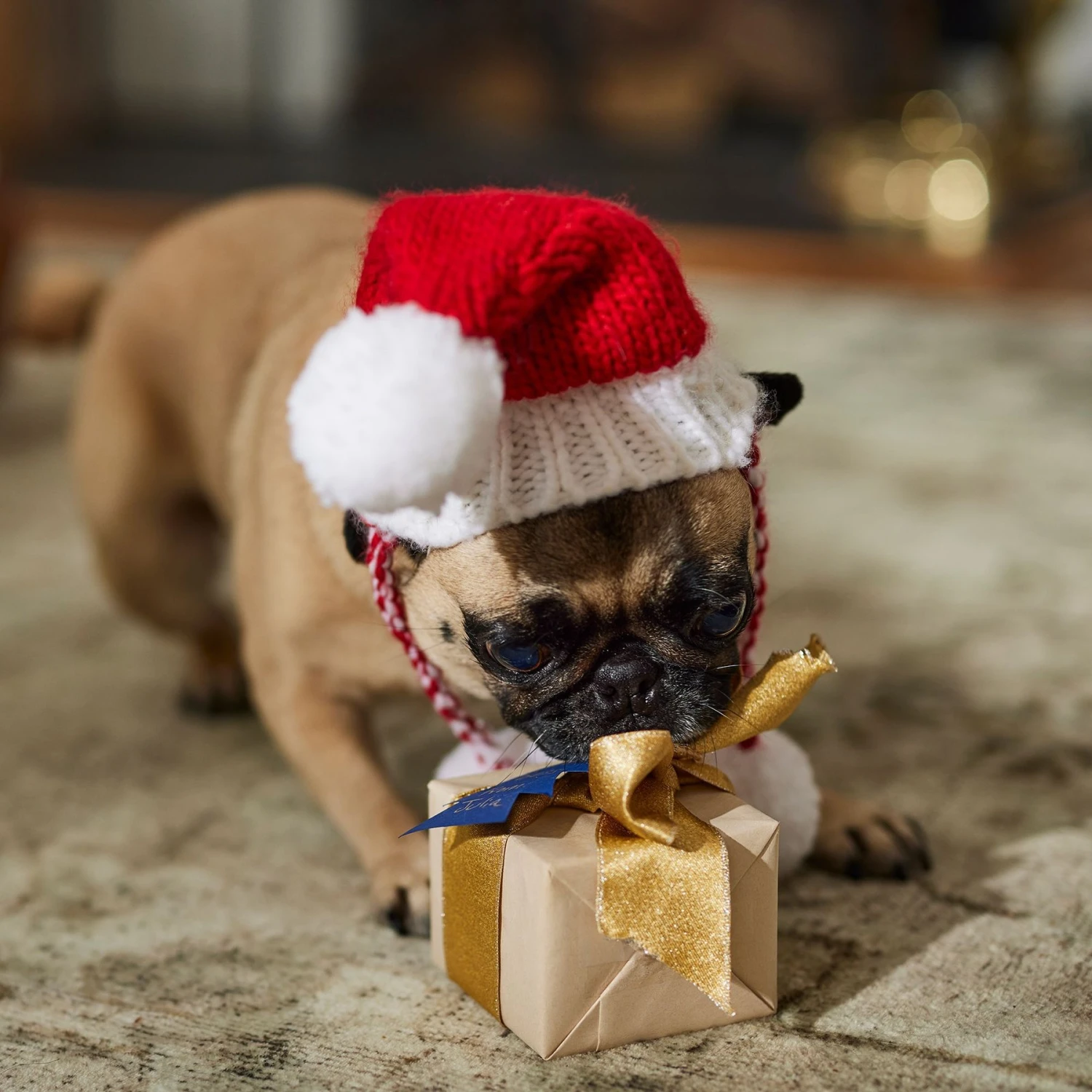 Frisco Chunky Knit Santa Dog & Cat Hat 6 Frisco Chunky Knit Santa Dog & Cat Hat - Image 6