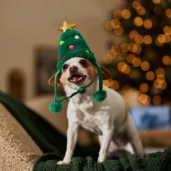 Frisco Christmas Tree Faux Fur Dog & Cat Hat 12 Frisco Christmas Tree Faux Fur Dog & Cat Hat -Frisco Sales Store 745582 PT5. AC SS1800 V1694793444