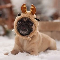 Frisco Sherpa Reindeer Dog & Cat Hat With Bells -Frisco Sales Store 745646 PT5. AC SS1800 V1694795597