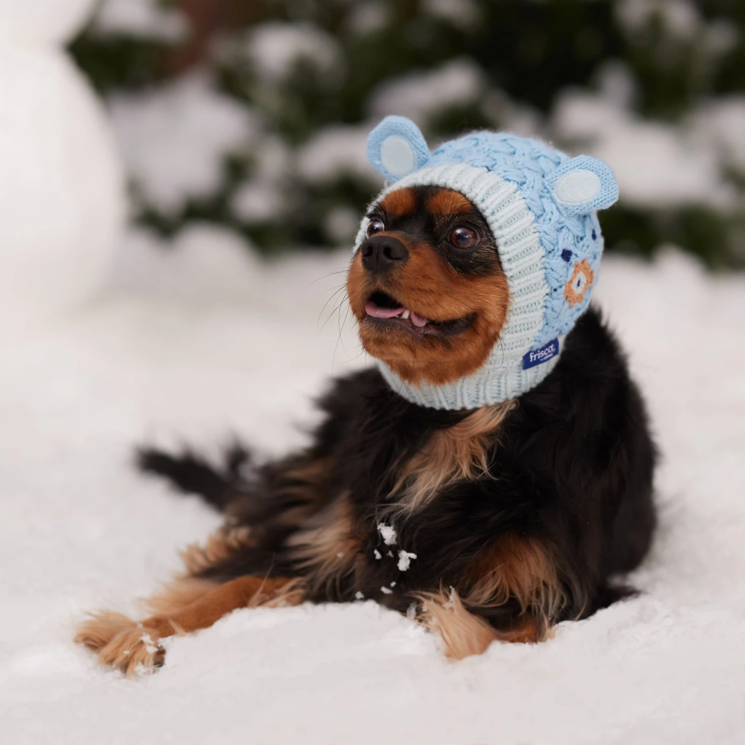 Frisco Nordic Ears Sweater Knit Dog & Cat Hat 6 Frisco Nordic Ears Sweater Knit Dog & Cat Hat - Image 6