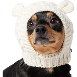 Frisco Polar Bear Sweater Knit Dog & Cat Hat -Frisco Sales Store 745742 PT2. AC SS1800 V1694793756