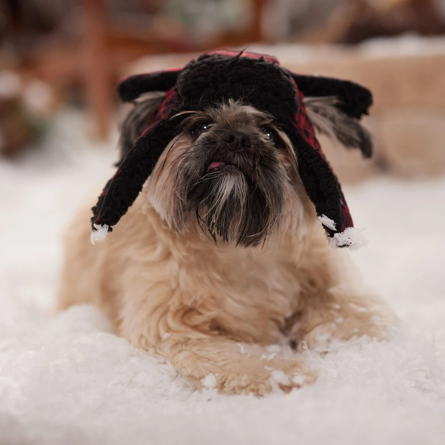 Frisco Tartan Plaid Dog & Cat Trapper Hat 6 Frisco Tartan Plaid Dog & Cat Trapper Hat - Image 6