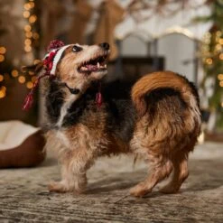 Frisco Nordic Pawprint Dog & Cat Hat 12 Frisco Nordic Pawprint Dog & Cat Hat -Frisco Sales Store 746782 PT5. AC SS1800 V1694799891