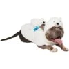 Frisco Polar Bear Ride-On Dog Costume