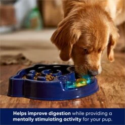 Frisco Interactive Dog Slow Feeder Bowl -Frisco Sales Store 761238 PT2. AC SS1800 V1696254583