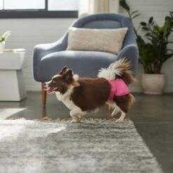 Skout's Honor Laundry Booster Stain & Odor Removal Additive, 32-oz Bottle & Frisco Washable Female Diaper -Frisco Sales Store 773022 PT8. AC SS1800 V1676749103