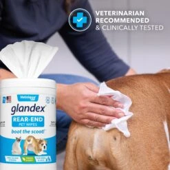 Vetnique Labs Glandex Wipes Rear End Anal Gland Cleansing & Deodorizing Hygienic Rear End Boot The Scoot Dog & Cat Wipes & Frisco Disposable Male Dog Wraps 13 Vetnique Labs Glandex Wipes Rear End Anal Gland Cleansing & Deodorizing Hygienic Rear End Boot The Scoot Dog & Cat Wipes & Frisco Disposable Male Dog Wraps -Frisco Sales Store 826454 PT4. AC SS1800 V1682018155