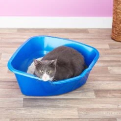 Frisco Collapsible Wire Cat Cage Playpen & Van Ness High Side Corner Cat Litter Pan, Blue 17 Frisco Collapsible Wire Cat Cage Playpen & Van Ness High Side Corner Cat Litter Pan, Blue -Frisco Sales Store 933382 PT8. AC SS1800 V1692305264