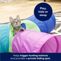 Frisco Foldable Play Tri-Tunnel Cat Toy & Frisco Butterfly Cat Tracks Cat Toy 13 Frisco Foldable Play Tri-Tunnel Cat Toy & Frisco Butterfly Cat Tracks Cat Toy -Frisco Sales Store 933438 PT4. AC SS1800 V1692305507